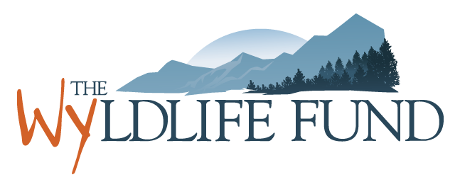 The Wyldlife Fund logo